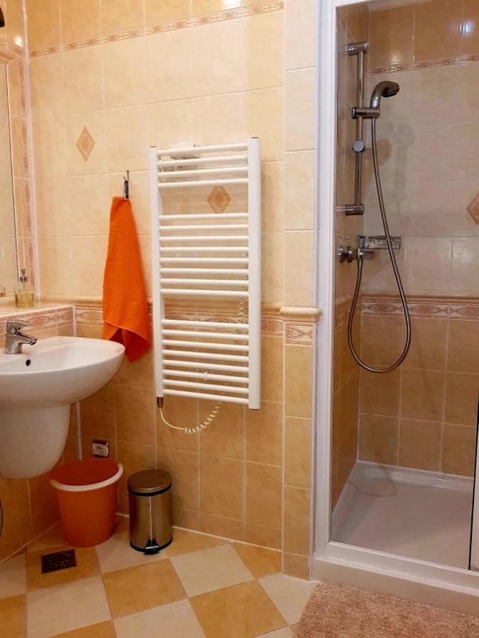 Appartment Centrum 卡罗维发利 外观 照片