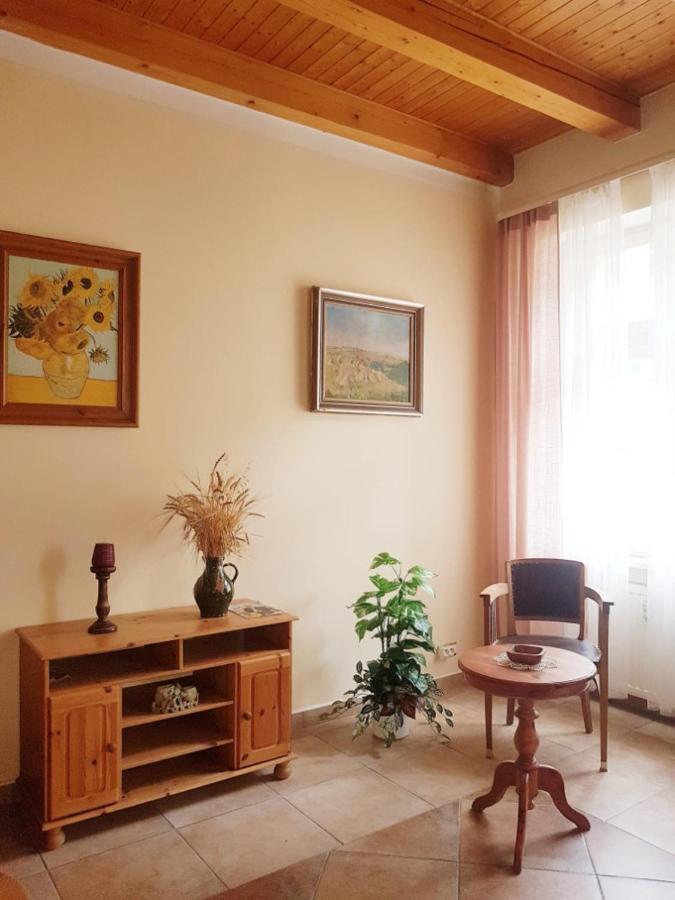 Appartment Centrum 卡罗维发利 外观 照片