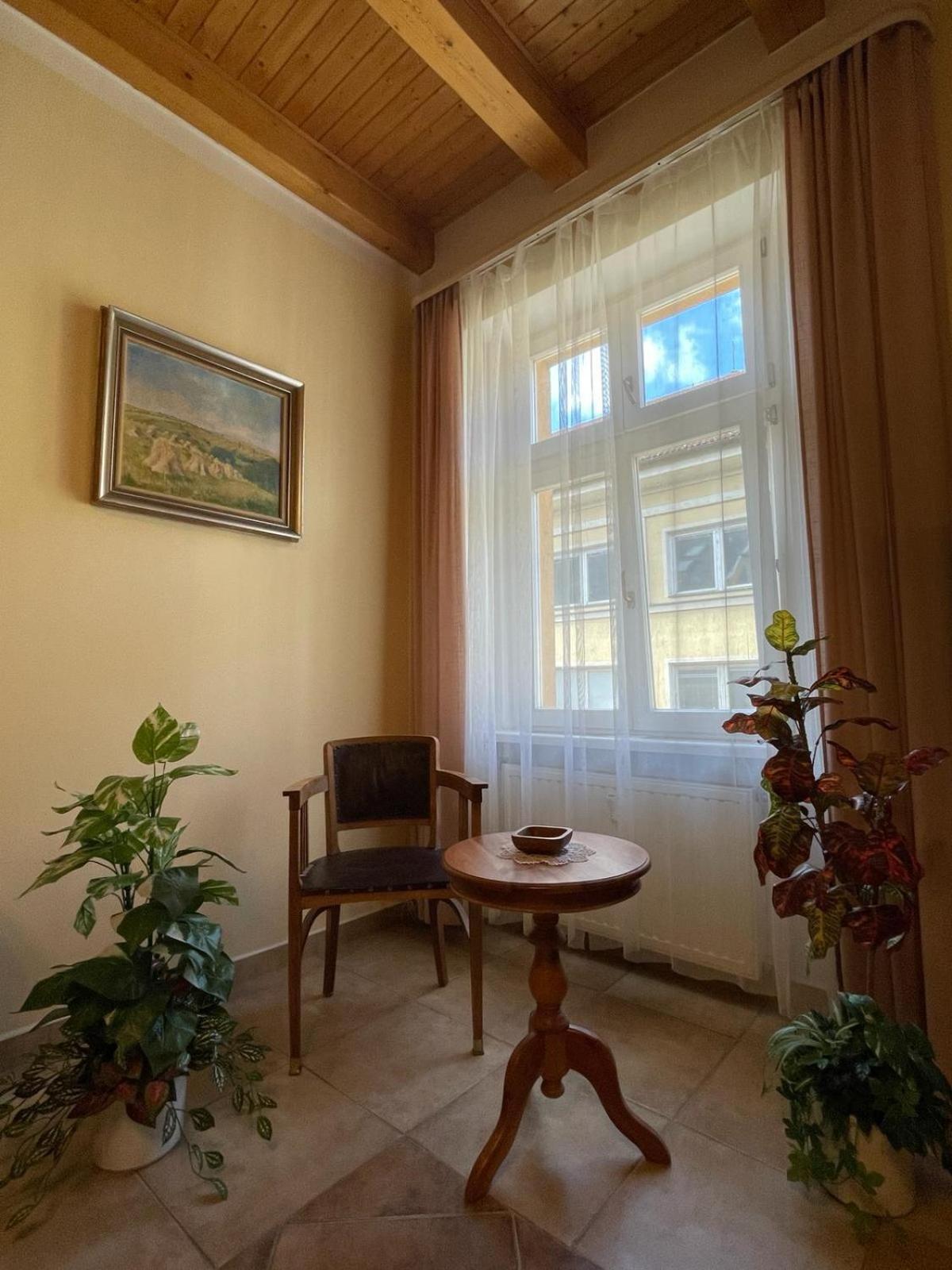 Appartment Centrum 卡罗维发利 外观 照片